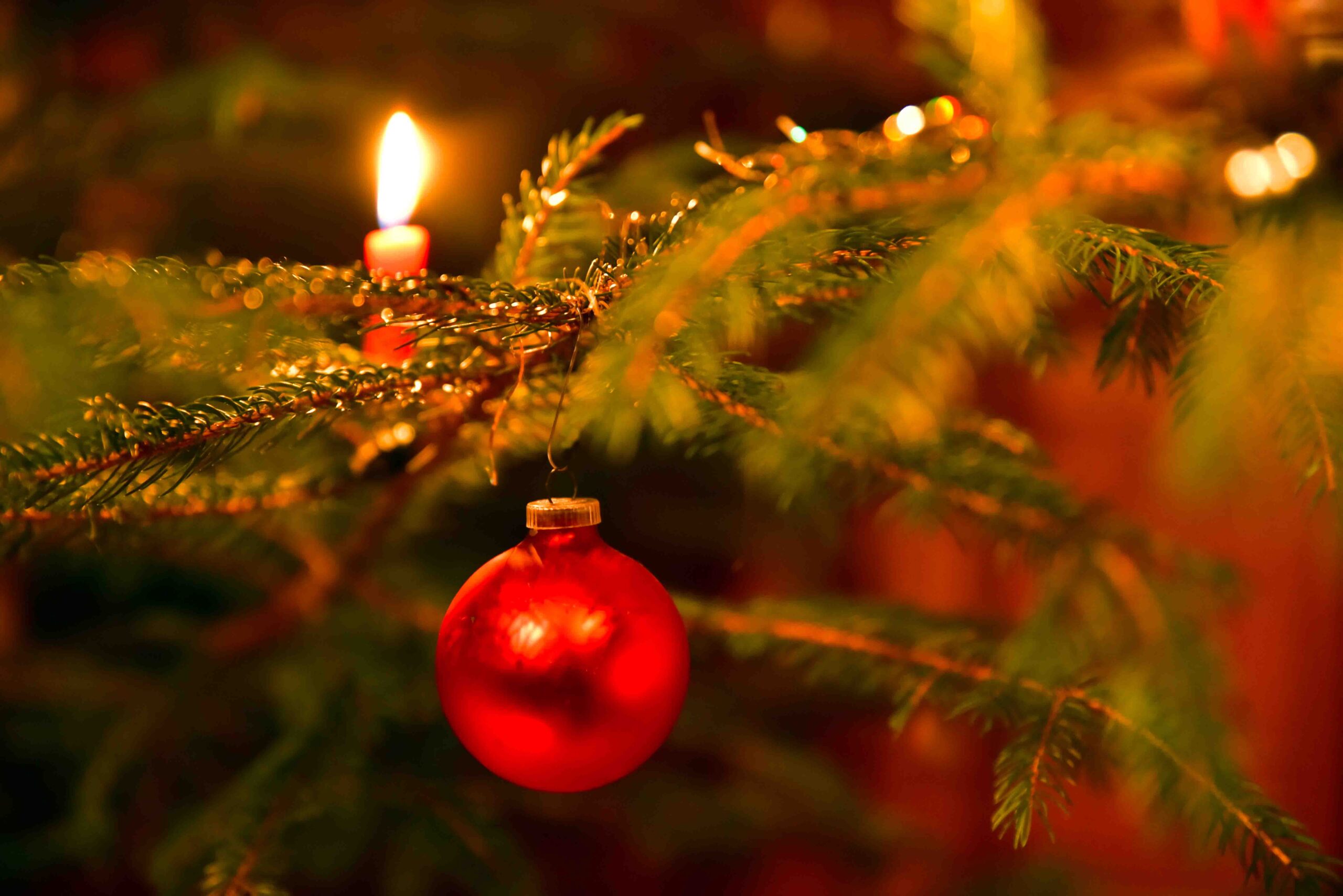 Zweig eines Weihnachtsbaums mit roter Kugel