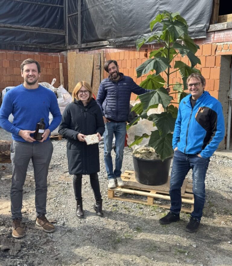 Zukunftsweisendes Unternehmen entwickelt nachhaltige Dämmmaterialien aus Paulownia und Pilzmyzel