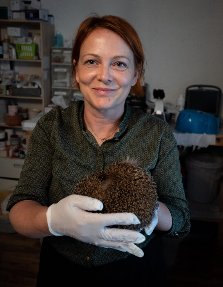 MdL Mia Goller: „Ein schlechter Tag für Bayerns Igel“