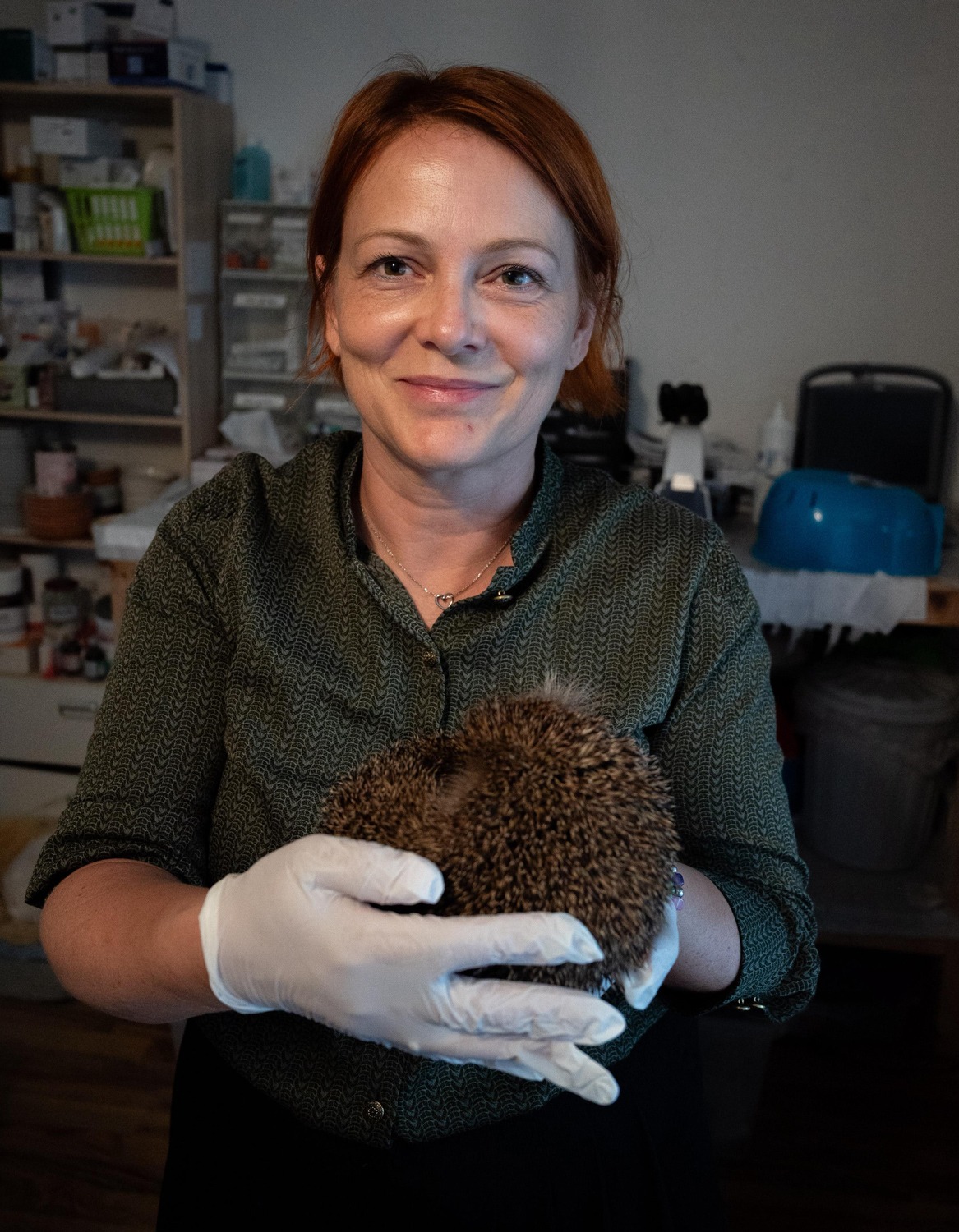 Dame mit grüner Bluse hält einen Igel in der Hand und blickt in die Kamera.